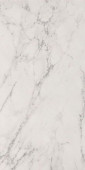 Плитка Carrara Delicato Matt r9 60х120