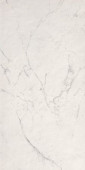 Плитка Carrara Delicato Matt 80x160
